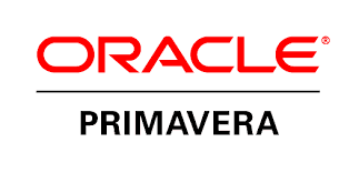 Oracle P6